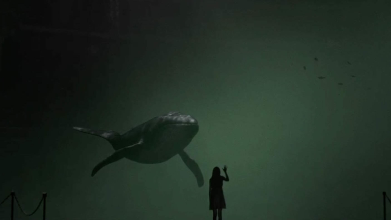 Wir sehen ein kleines Mädchen, dass die Scheibe eines großen Aquariums berührt. Hinter der Scheibe schwimmt ein riesiger Wal. Es wirkt so als würden die beiden miteinander kommunizieren.